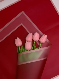 Пленка матовая 58смх58см 10 листов 55мкм РЦ двойной кант золотой винный