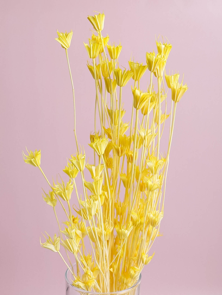 ИЦ Нигелла 50г желтый