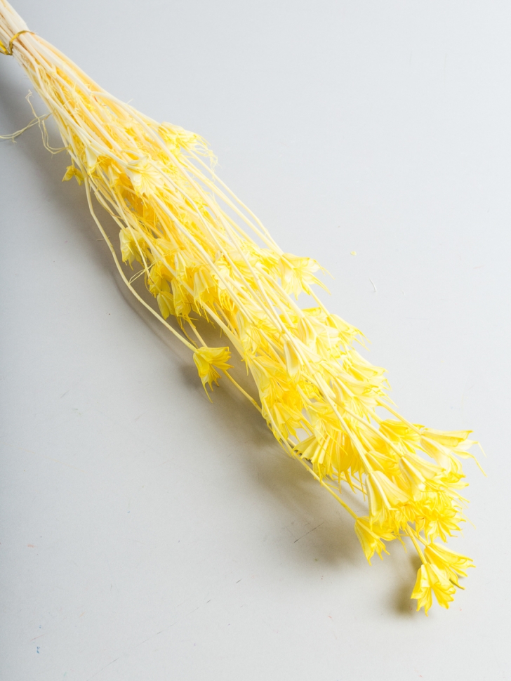 ИЦ Нигелла 50г желтый