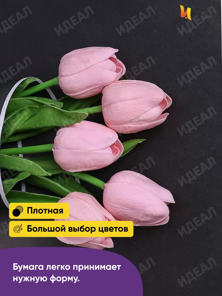 Бумага белая крафт 50г/м2, 70см x 10м, Тонировка 2-х сторонняя, чёрный/шоколад Бумага белая крафт 50г/м2, 70см x 10м, Тонировка 2-х сторонняя, чёрный/шоколад