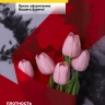 Пленка матовая 55мкм 58см х 10м РЦ Blot красный Пленка матовая 55мкм 58см х 10м РЦ Blot красный