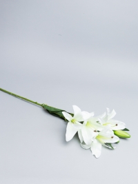 ИЦ Лилия 77см АРИЧЧА К. 4 голов+ 2 бутона белый