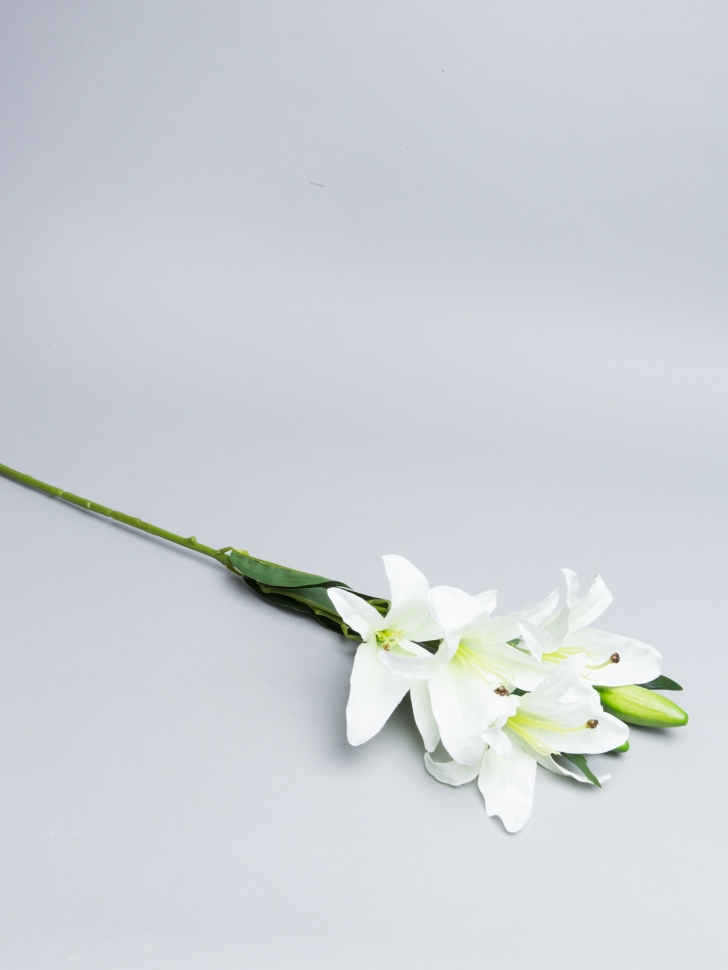 ИЦ Лилия 77см АРИЧЧА К. 4 голов+ 2 бутона белый