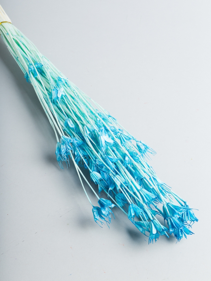 ИЦ Нигелла 50г голубой ИЦ Нигелла 50г голубой