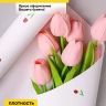 Пленка матовая 60мкм 58см х 10м РЦ мелкоцвет бордо на белом Пленка матовая 60мкм 58см х 10м РЦ мелкоцвет бордо на белом