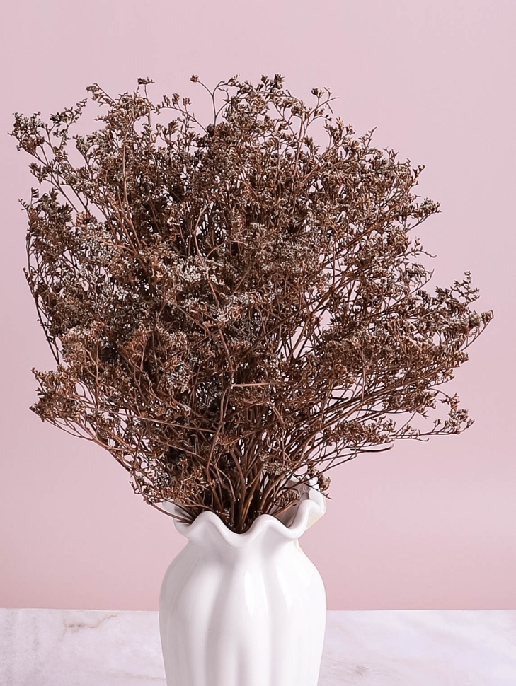 Лимониум 50см 40гр натуральный