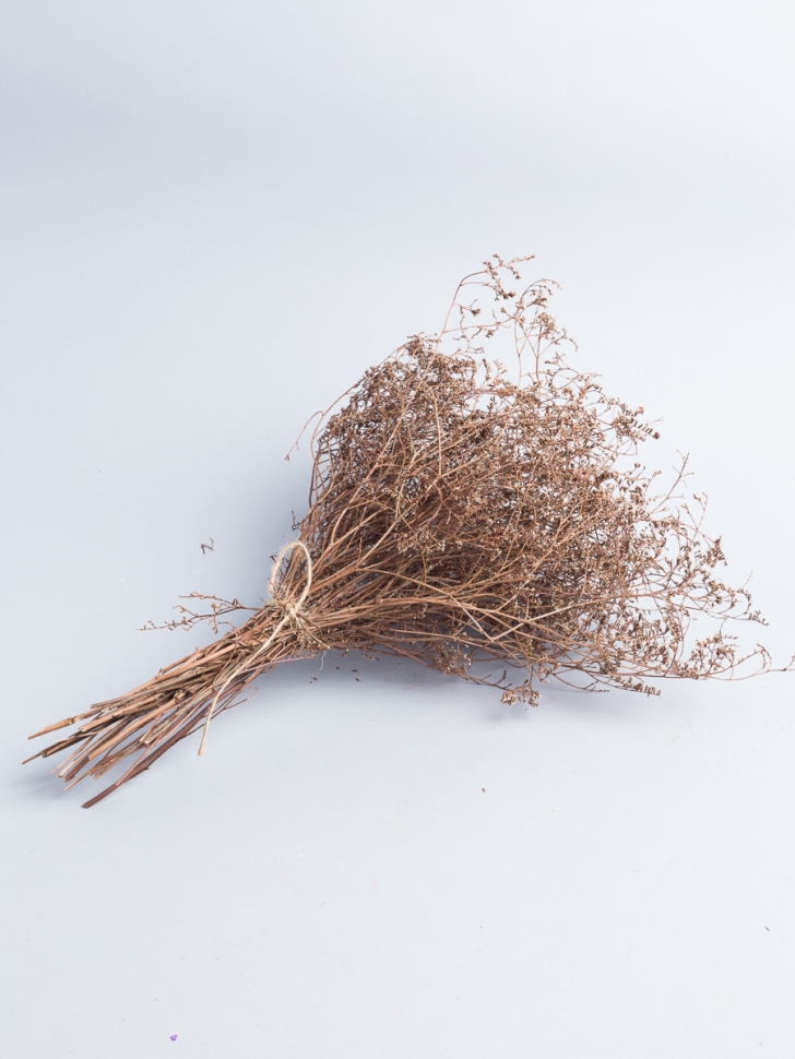 Лимониум 50см 40гр натуральный