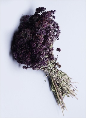 Цветы Душица Орегано натуральная 45см 70гр Цветы Душица Орегано натуральная 45см 70гр