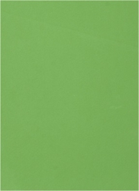 Фоамиран 60х70см 0,8мм 1лист. темно-зеленый 016-179