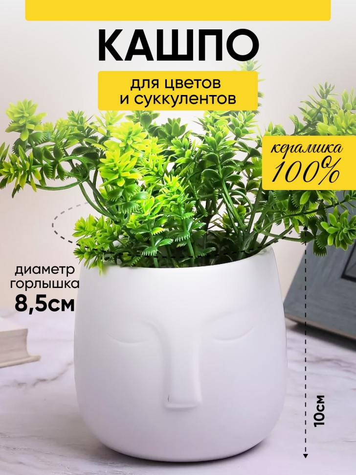 Кашпо керамика 11х11х10см TX06540000.11 белый УЦЕНКА Кашпо керамика 11х11х10см TX06540000.11 белый УЦЕНКА