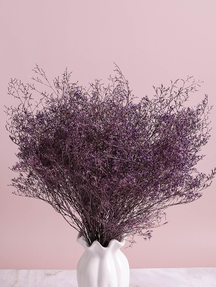 Лимониум 50см 40гр фиолетовый Лимониум 50см 40гр фиолетовый