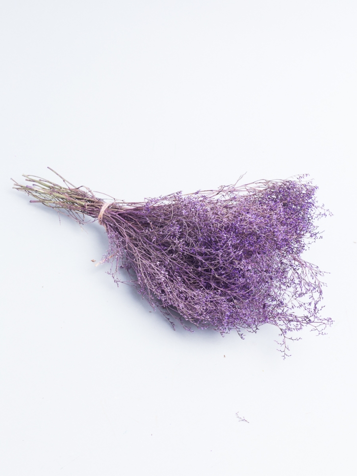 Лимониум 50см 40гр фиолетовый Лимониум 50см 40гр фиолетовый