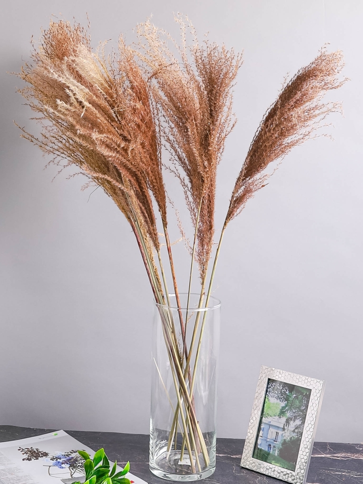 ИЦ Мискантус 10шт 60см натуральный ИЦ Мискантус 10шт 60см натуральный