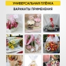 Пленка прозрачная 40см x 0,2кг Пленка прозрачная 40см x 0,2кг
