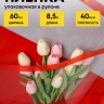Пленка цветная 60см прозрачное окно красный Пленка цветная 60см прозрачное окно красный