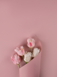 Пленка матовая 58см х 58см 60мкм 10 листов, розовый пыльный