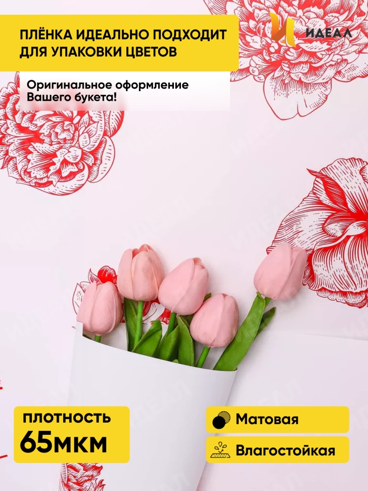 Пленка матовая  65мкм 58см х 10м РЦ Бутоны на белом красный