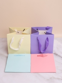 Сумочка подарочная Люкс (22х22х22см) микс