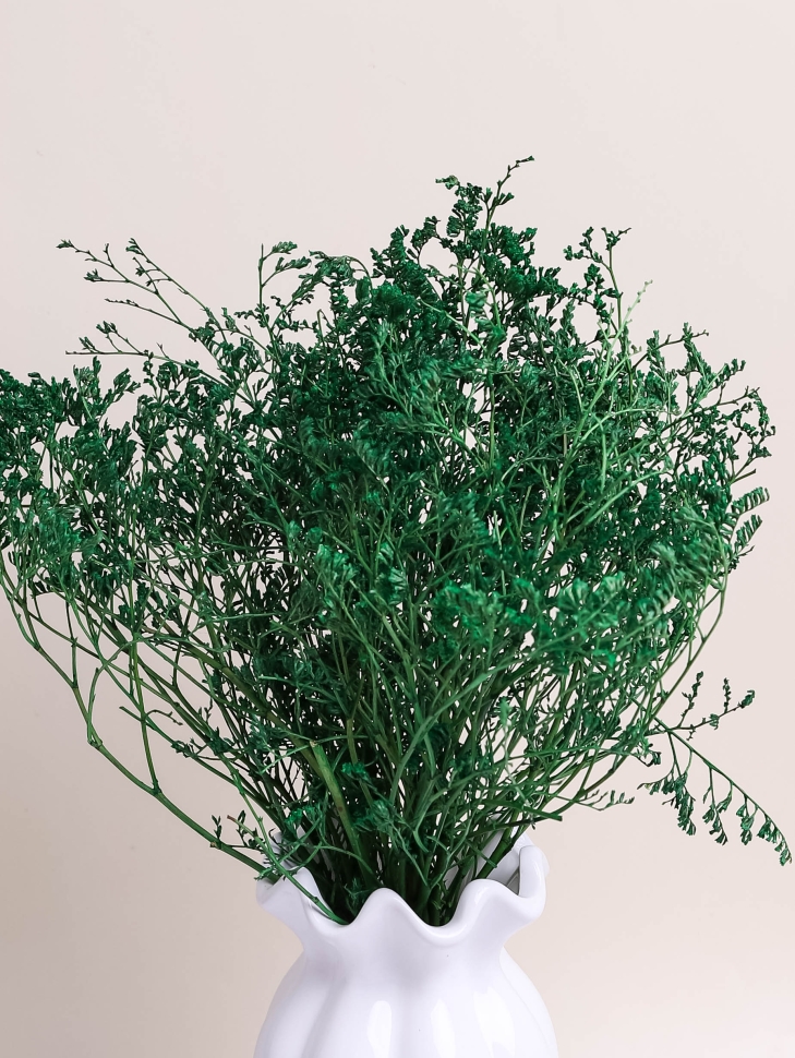 Лимониум 50см 40гр зеленый Лимониум 50см 40гр зеленый