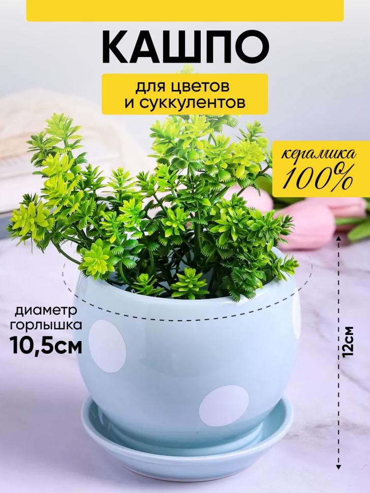 Кашпо керамика 12х12х12см горох голубой УЦЕНКА