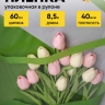 Пленка цветная 60см прозрачное окно зеленый Пленка цветная 60см прозрачное окно зеленый