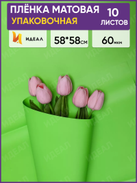 Пленка матовая 58см х 58см 60мкм 10 листов, салат