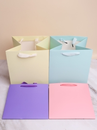 Сумочка подарочная Люкс (25х25х25см) микс