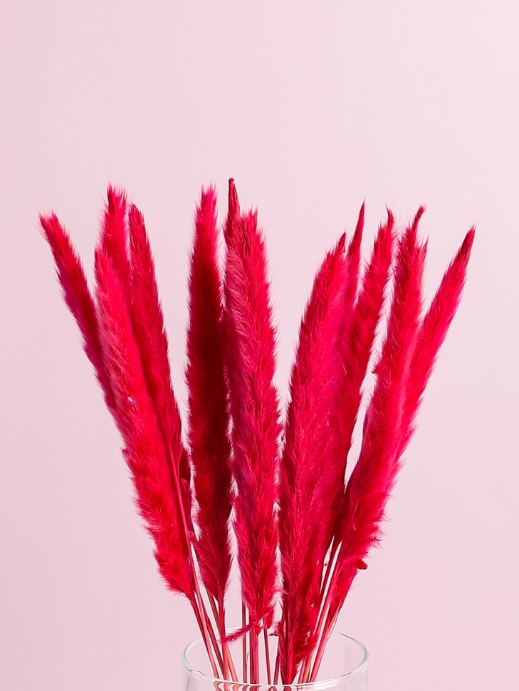 ИЦ Тростник 15 голов красный