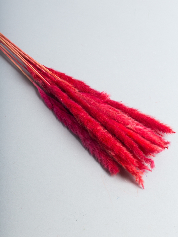 ИЦ Тростник 15 голов красный