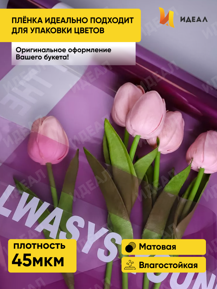Пленка цветная 45 мкм 58см х 10м РЦ с надписью фиолетовый Пленка цветная 45 мкм 58см х 10м РЦ с надписью фиолетовый