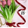 Лента атласная 15мм х 25 ярд JD бордовый Лента атласная 15мм х 25 ярд JD бордовый