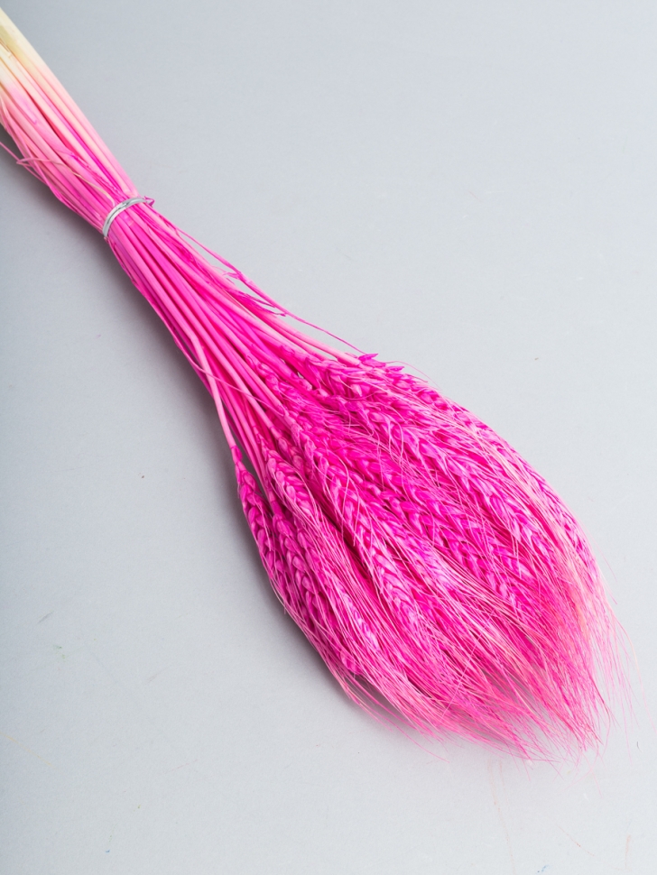 ИЦ Пшеница 50шт К фуксия