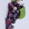 Виноград 60 голов темный