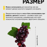 Виноград 60 голов темный