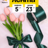 Лента атласная 50мм х 25ярд JD зеленый темный Лента атласная 50мм х 25ярд JD зеленый темный