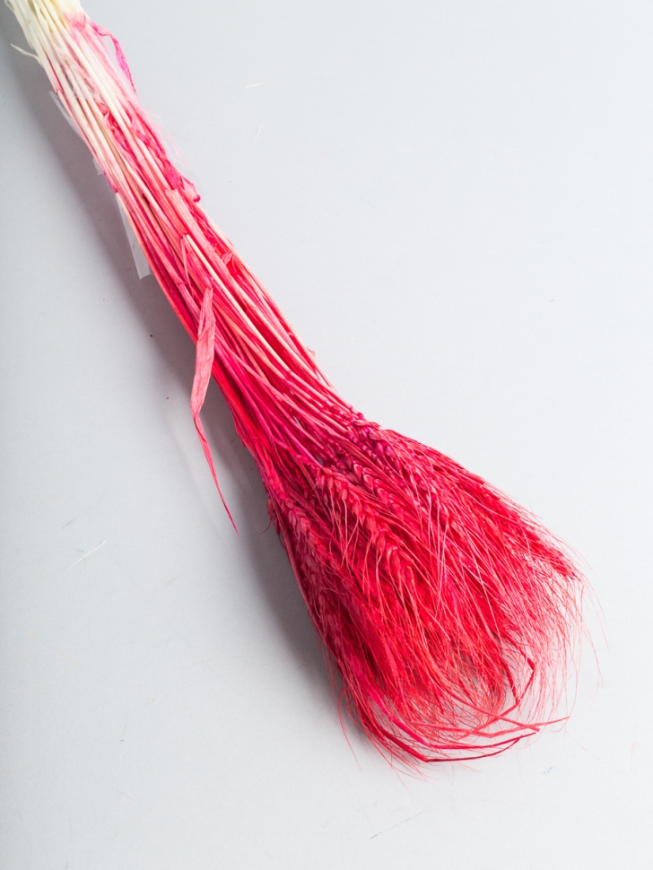 ИЦ Пшеница 50шт К красный