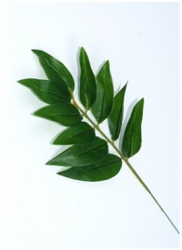 ИЦ Лист бамбука 35см малый КЛЕСЕ зеленый