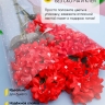 Пакет цветочный Конус 36/80 Супер рисунок/рисунок цветочки 50 шт Пакет цветочный Конус 36/80 Супер рисунок/рисунок цветочки 50 шт