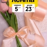 Лента атласная 50мм х 25ярд JD персиковый Лента атласная 50мм х 25ярд JD персиковый