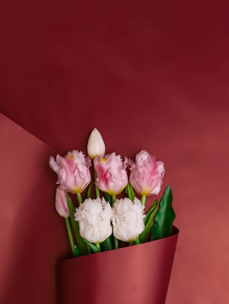 Пленка матовая  Пастель 58см х 10м на втулке, вишня