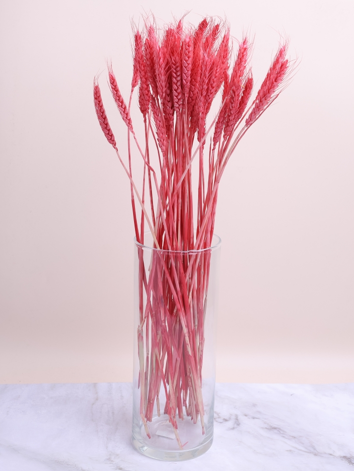 ИЦ Пшеница 50шт К коралловый