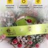 Лента НГ 2,5х3ярд с рисунком Merry Christmas салатовый Лента НГ 2,5х3ярд с рисунком Merry Christmas салатовый