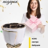 Кашпо керамика 12х12х13см TX06696012.12 белый Кашпо керамика 12х12х13см TX06696012.12 белый
