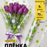 Пленка цветная Серпантин 70см бело-салатовый Пленка цветная Серпантин 70см бело-салатовый