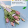 Пакет цветочный Конус 27/40/12,5 Романтика сиреневый 50 шт Пакет цветочный Конус 27/40/12,5 Романтика сиреневый 50 шт