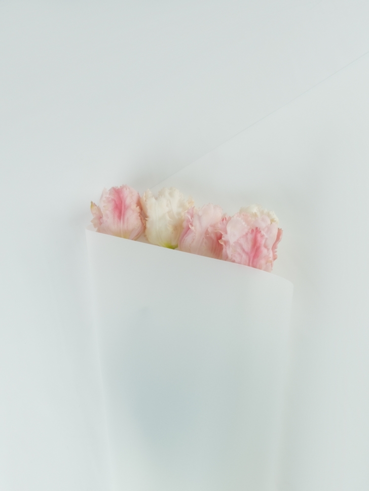 Пленка матовая 65мкм 58см х 10м Ассоль белый