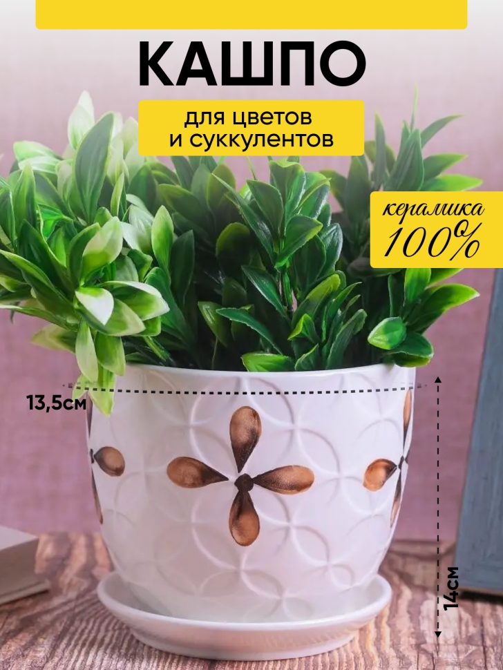 Кашпо керамика 14х14х12,5см TX55322 цветок Кашпо керамика 14х14х12,5см TX55322 цветок