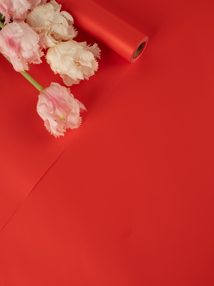 Пленка матовая 65мкм 58см х 10м Ассоль красный