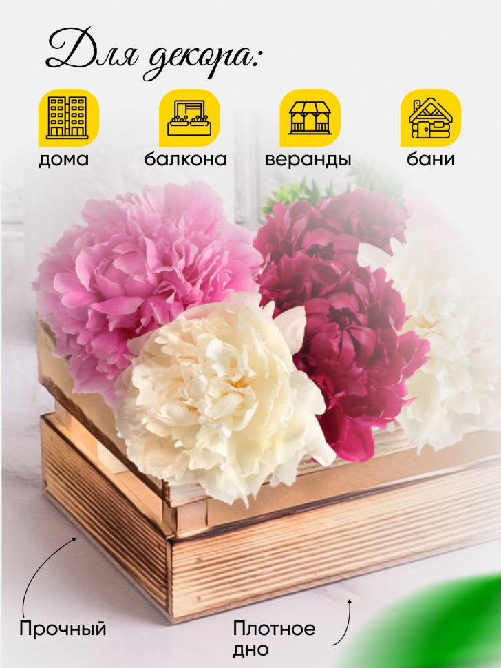 Ящик деревянный 24х13хh8см экзотик Ящик деревянный 24х13хh8см экзотик