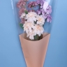 Пакет цветочный Конус 40/50 To be in love оранжевый пастель 50 шт